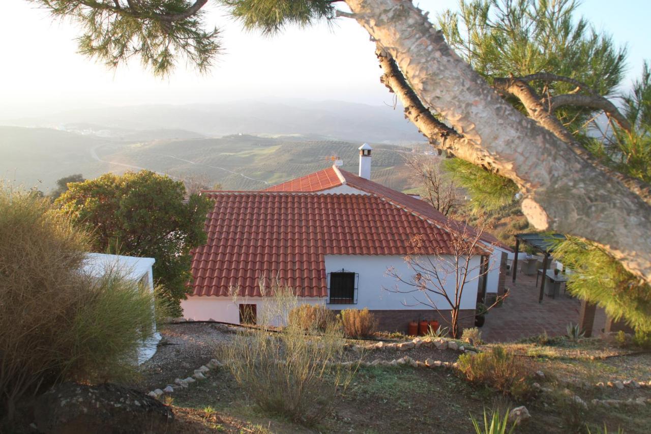 הוילה קולמנאר Casa Pura Vida - Malaga - Andalusie מראה חיצוני תמונה